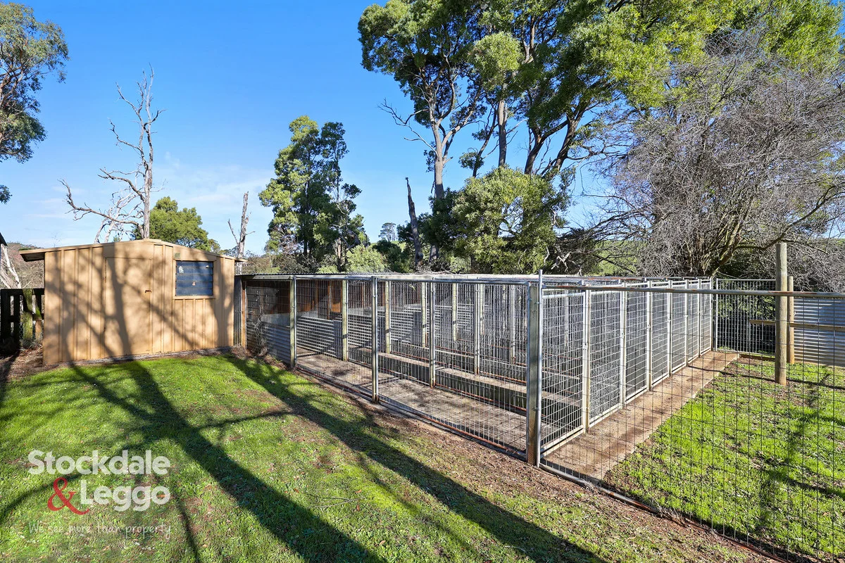 Additional image 16 of 710 Nicholls Road, Mirboo North VIC 3871