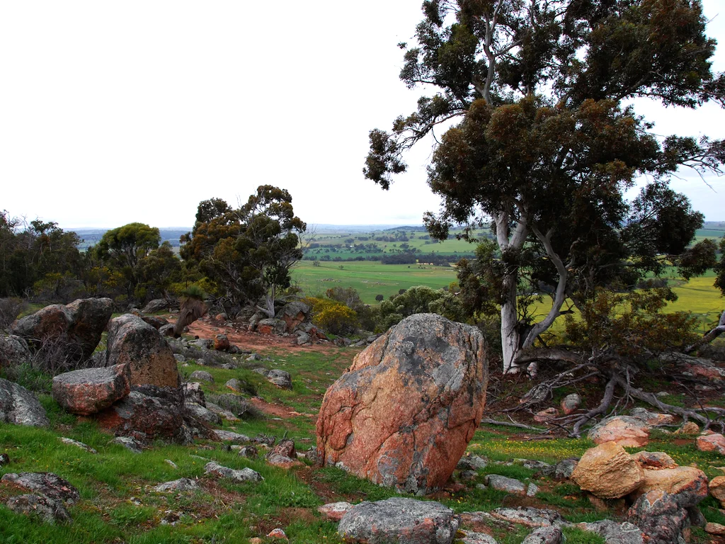 Additional image 36 of Lot 12 Young Road, Gwambygine WA 6302