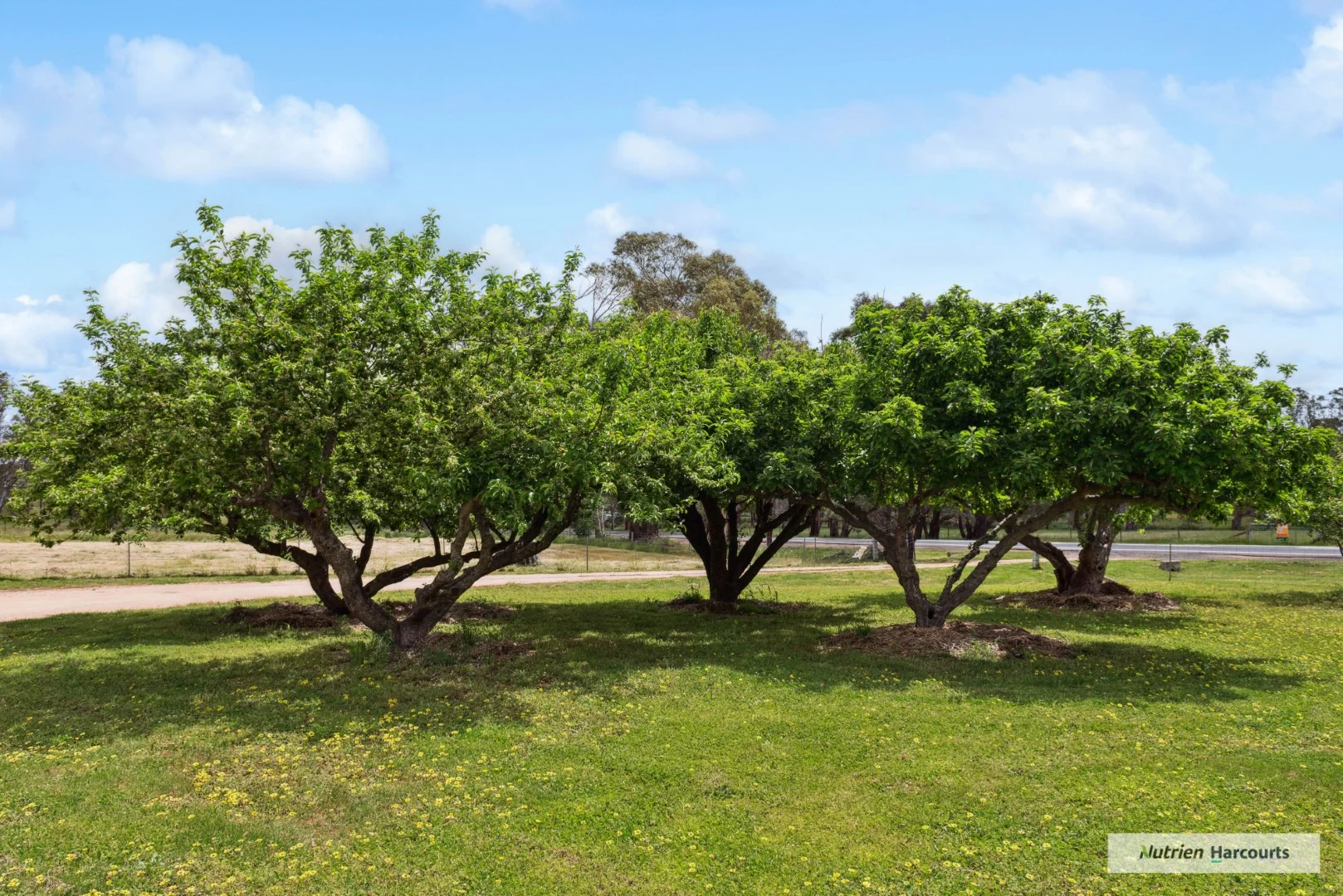 Additional image 17 of 2920 Lancefield-Tooborac Road, Tooborac VIC 3522