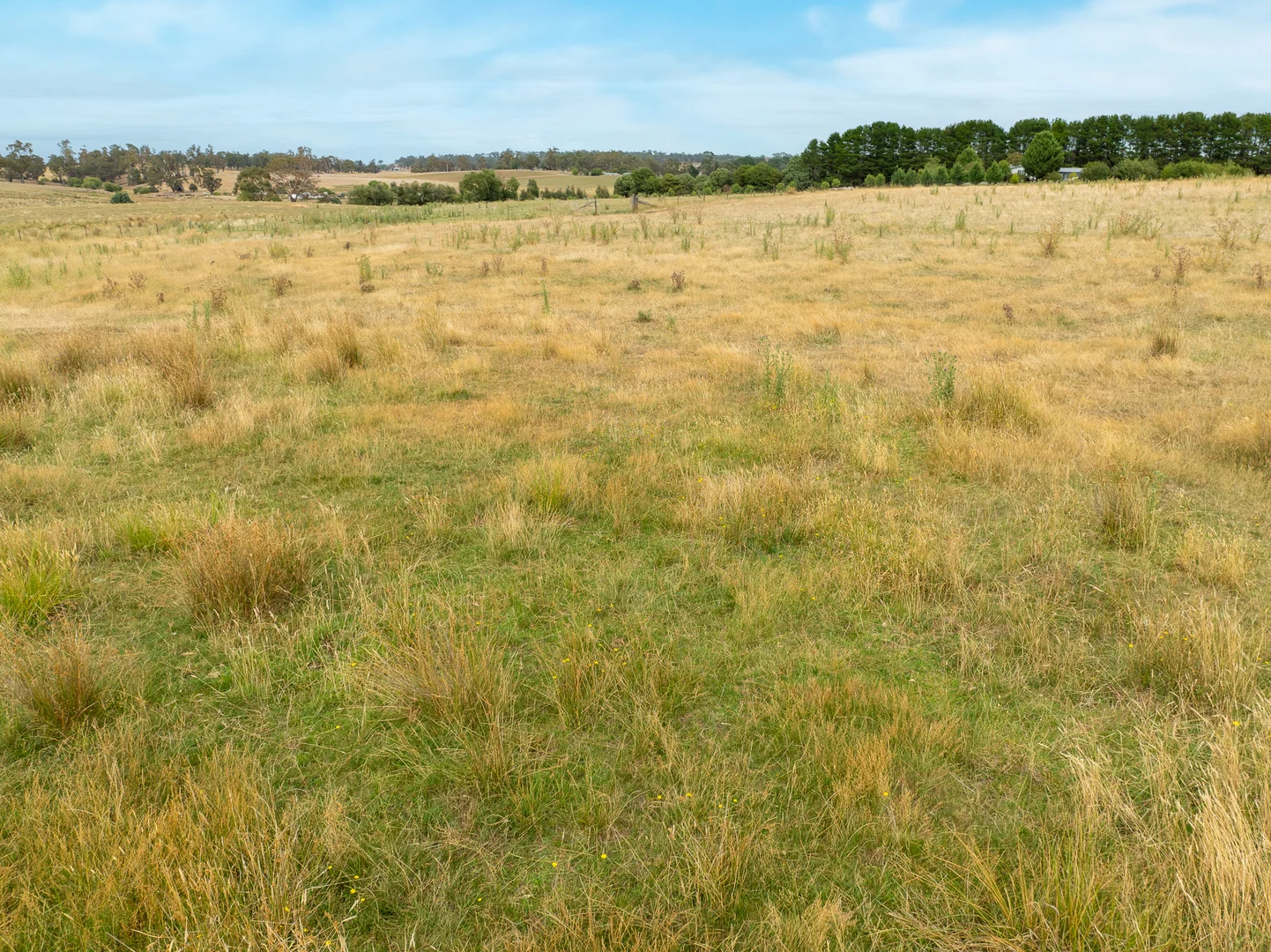 Additional image 34 of 'Top Farm' 1004 Neville-Trunkey Road, Neville NSW 2799