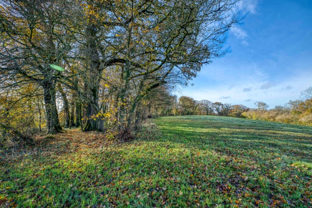 Additional image 43 of Manor house with circa 26 acres, a mile from Wells