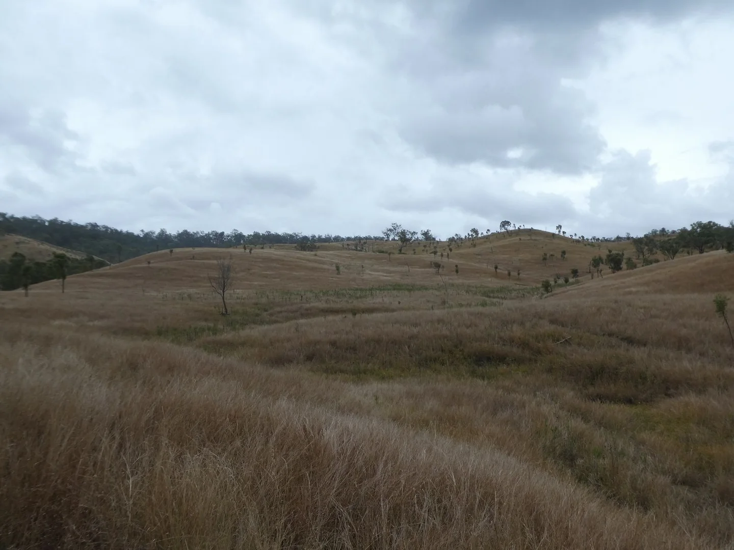 Additional image 4 of 4 Lots/NRN Monto Mount Perry Road, Mungy QLD 4671