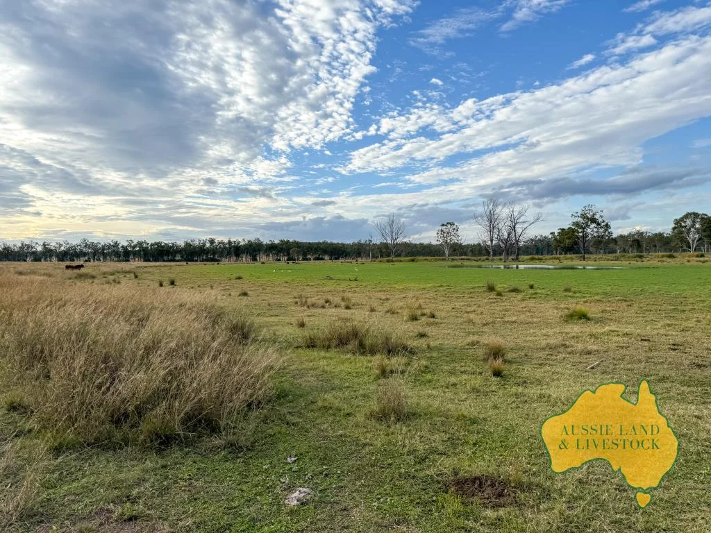 Additional image 53 of 8 SCREENING PLANT ROAD, Cynthia QLD 4627