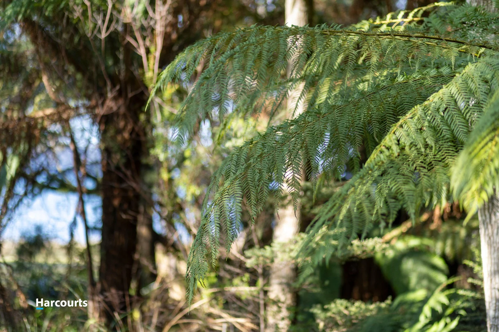 Additional image 21 of 170 Cockle Creek Road, Recherche TAS 7109