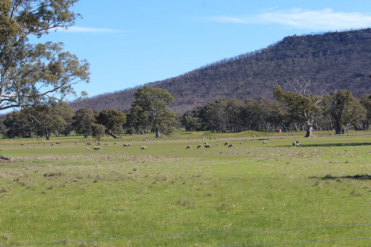 Additional image 28 of 687 Victoria Point Road, Victoria Point VIC 3294