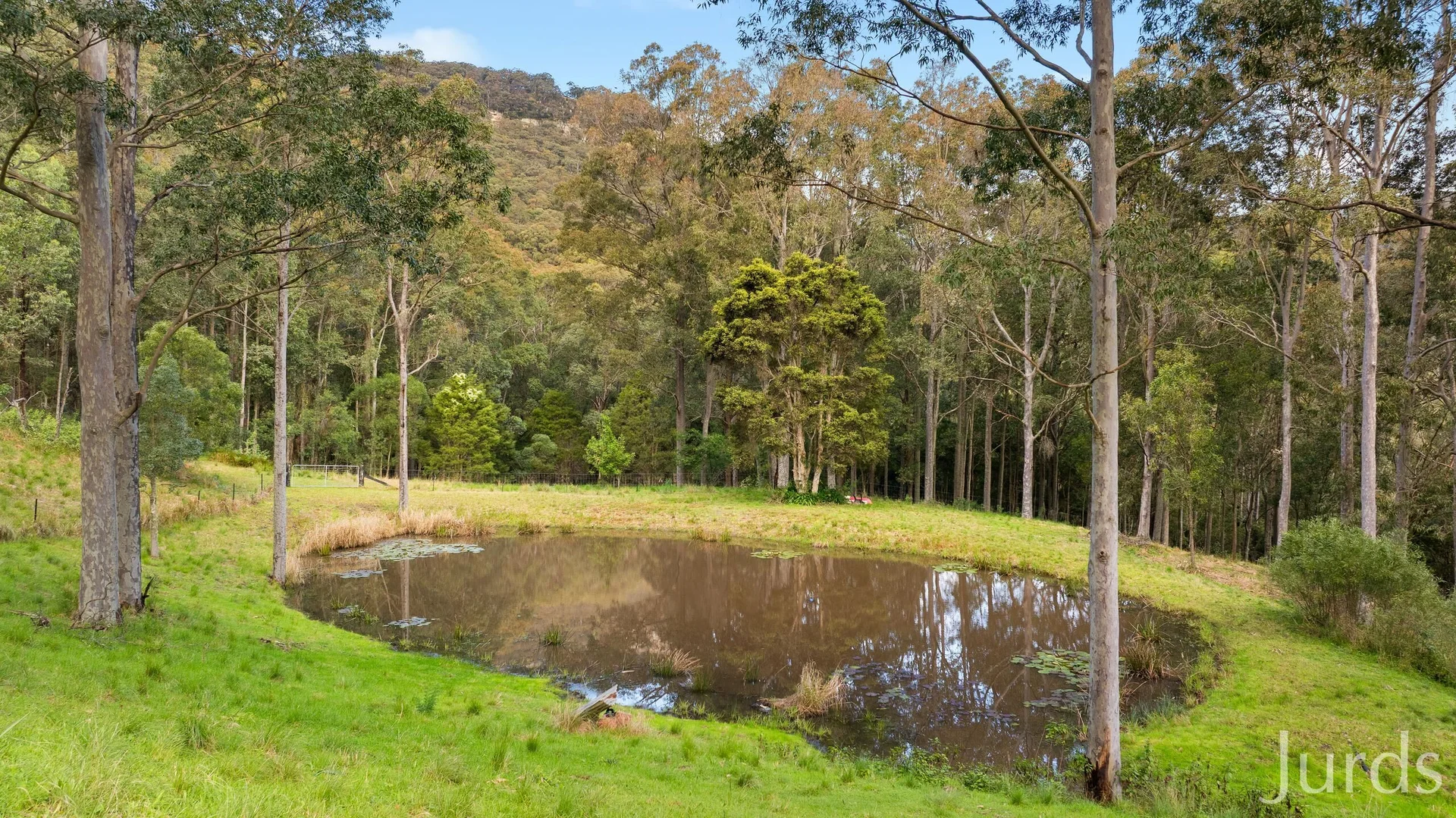 Additional image 8 of 131 Rodney Road, Mount Vincent NSW 2323