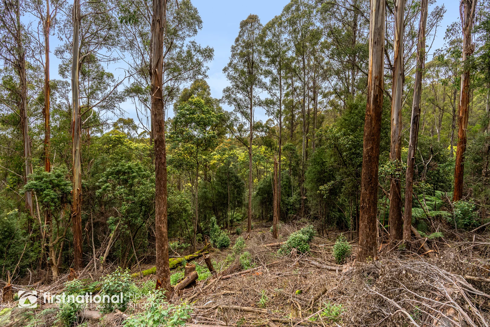 Additional image 11 of 240 Watsons Road, Kettering TAS 7155