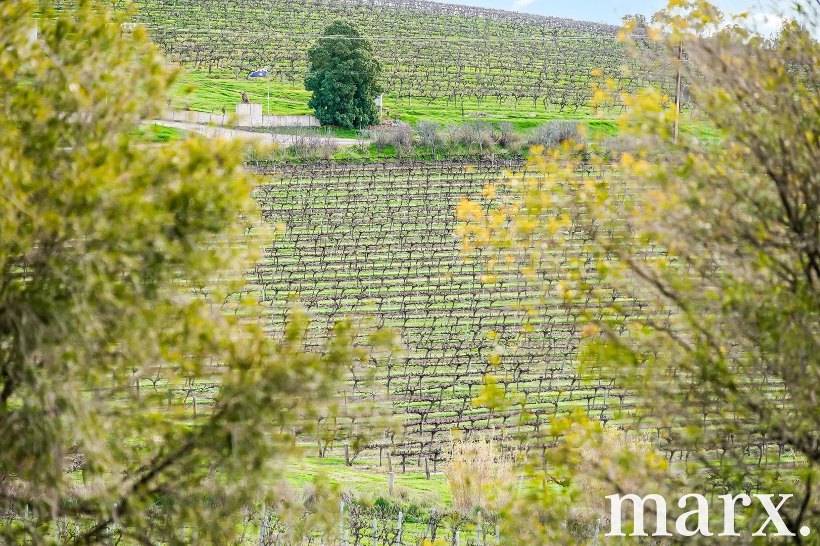 Additional image 22 of 137 Radford Road, Angaston SA 5353