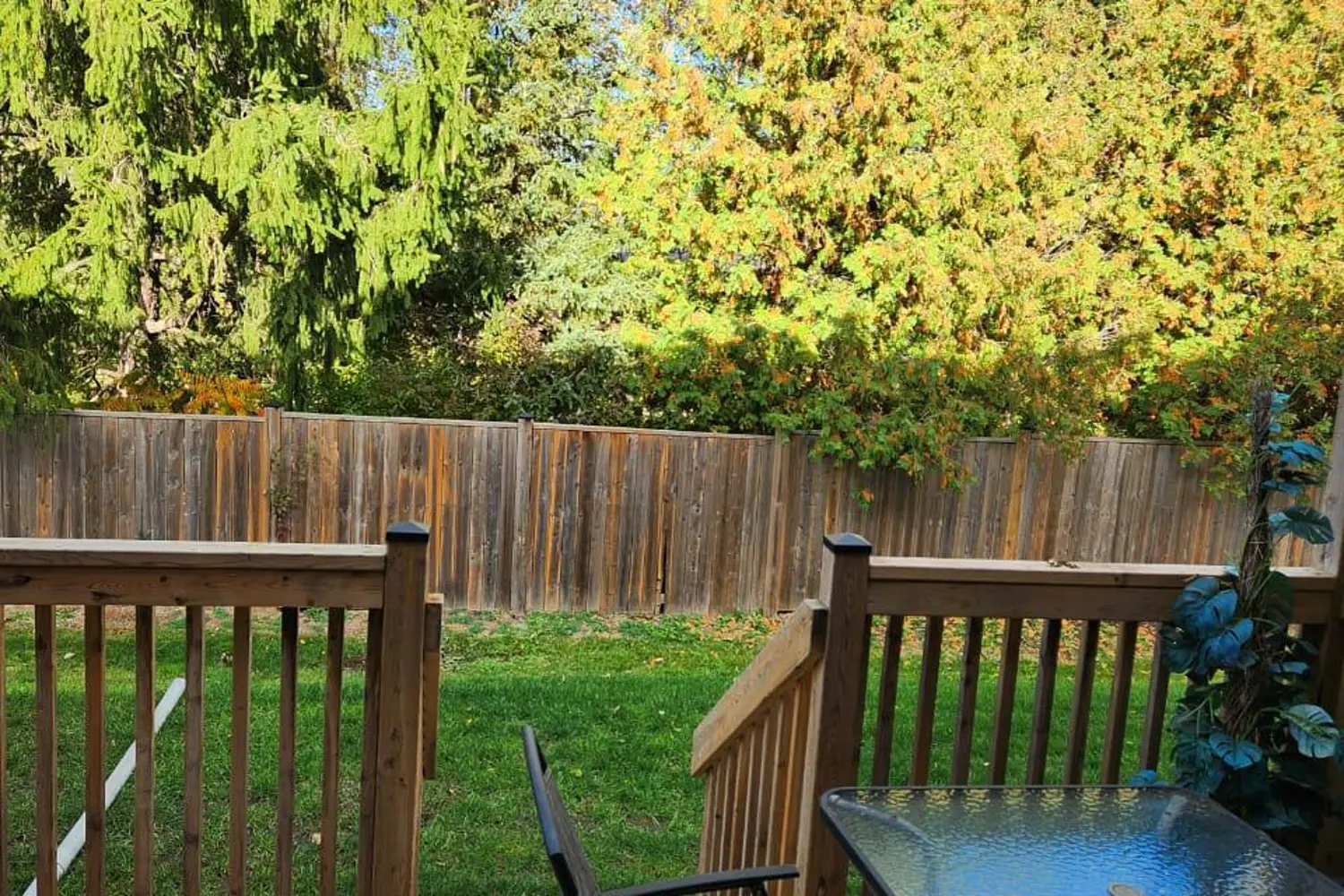 Additional image 8 of 1465 Station Street 19