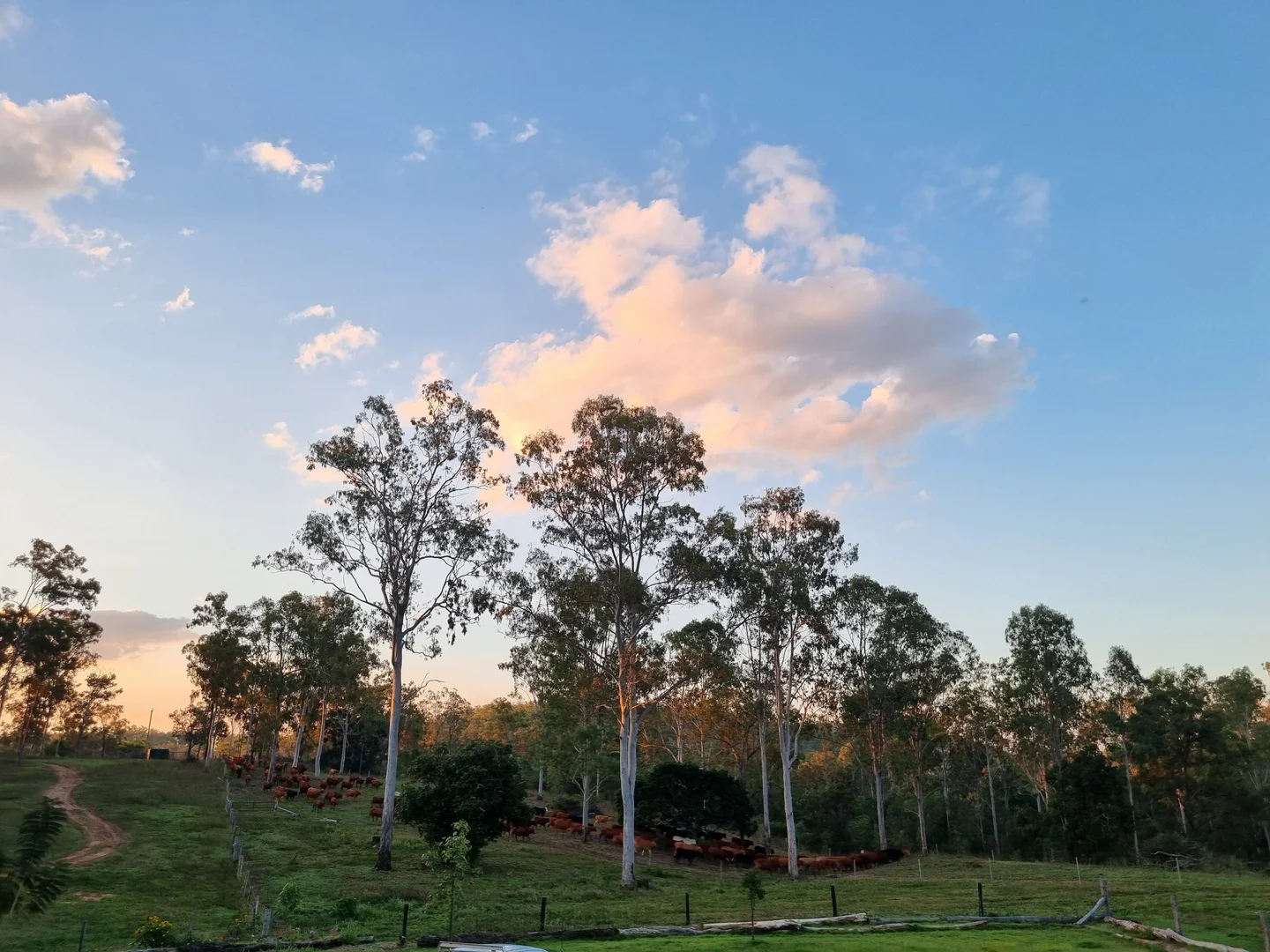 Additional image 13 of 700 John Clifford Way, Lowmead QLD 4676