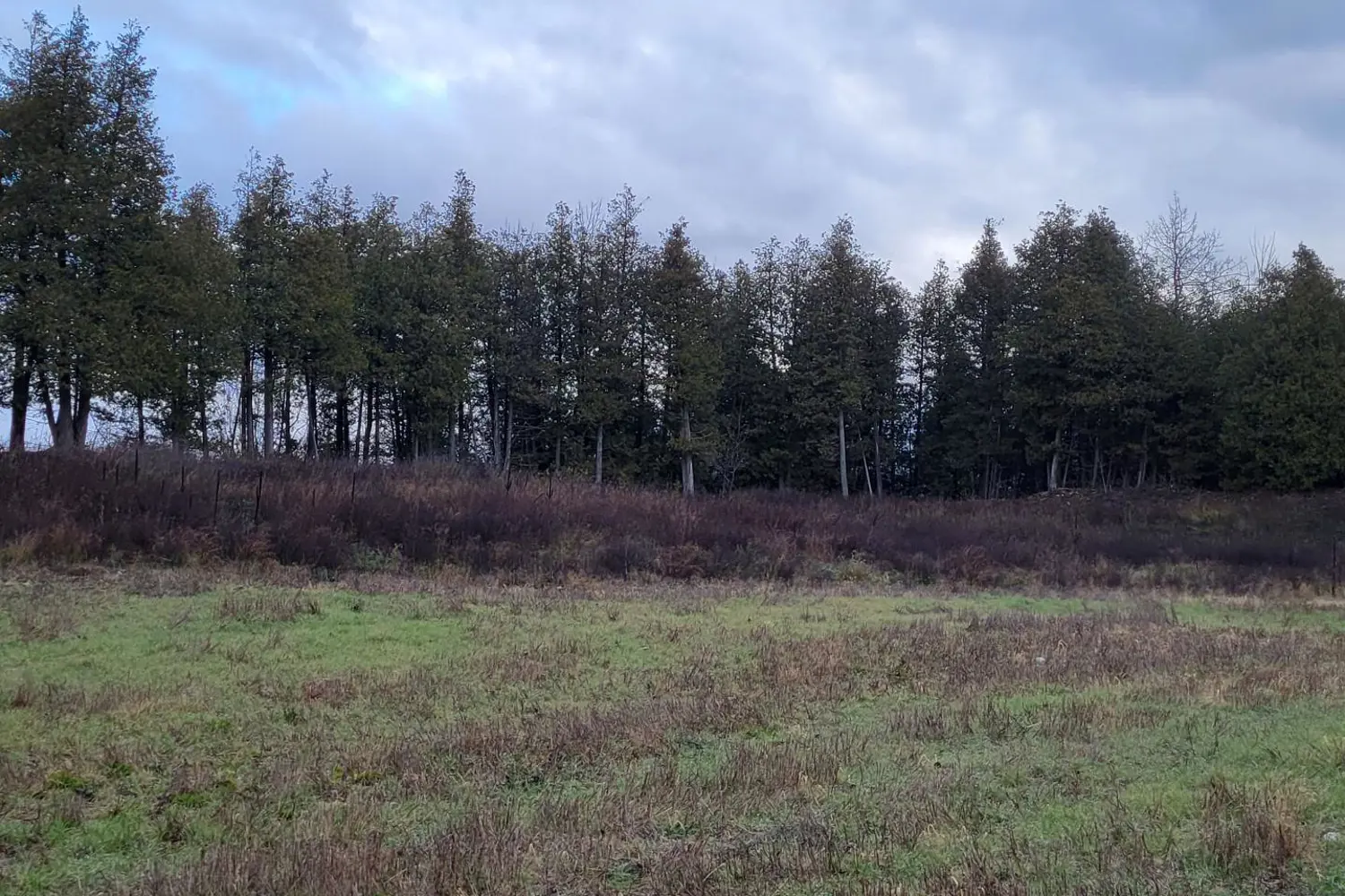 Additional image 8 of Lot 37 Con 2 Ndr