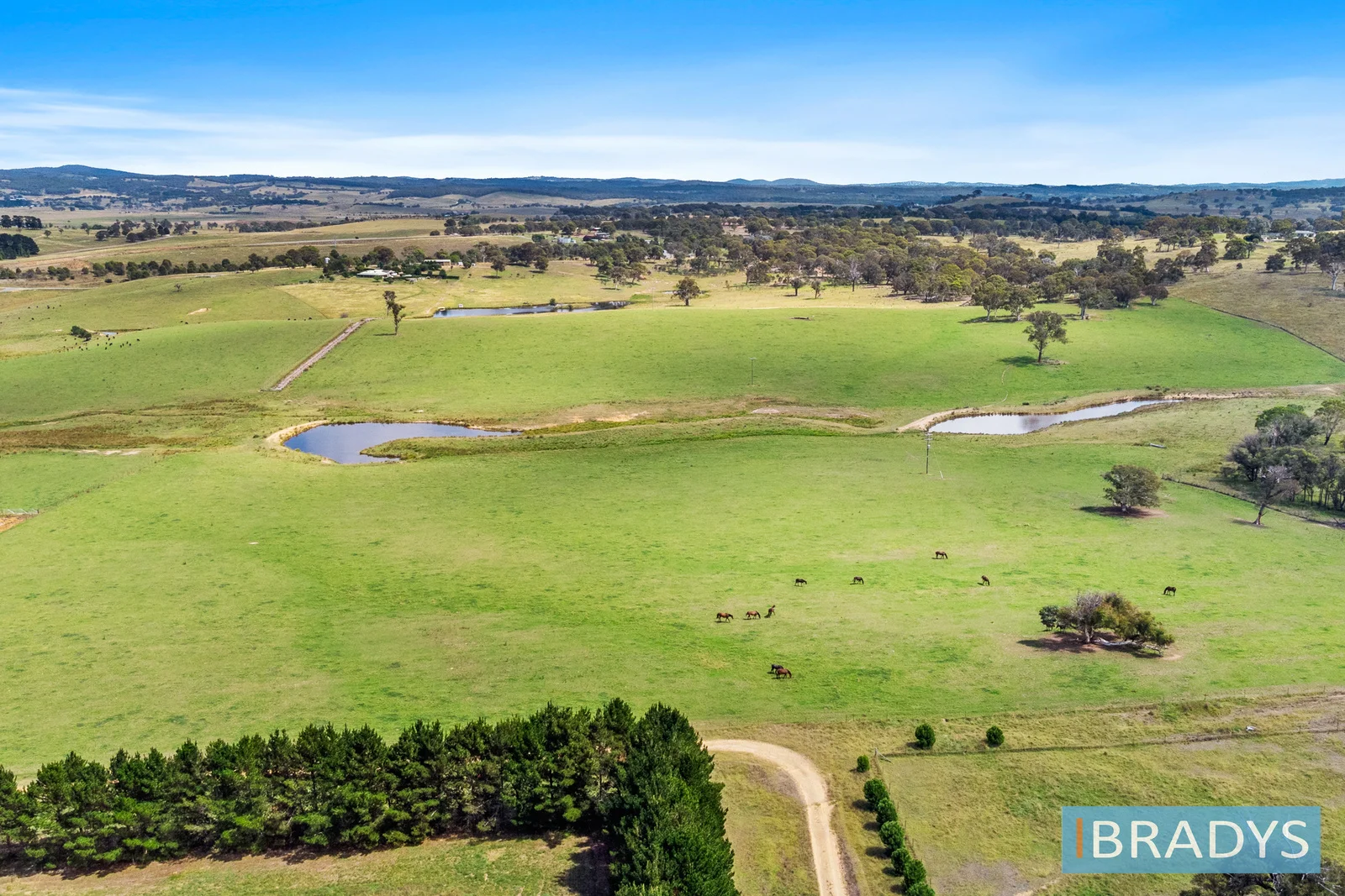 Additional image 3 of 4348 Gundaroo Road, Gundaroo NSW 2620