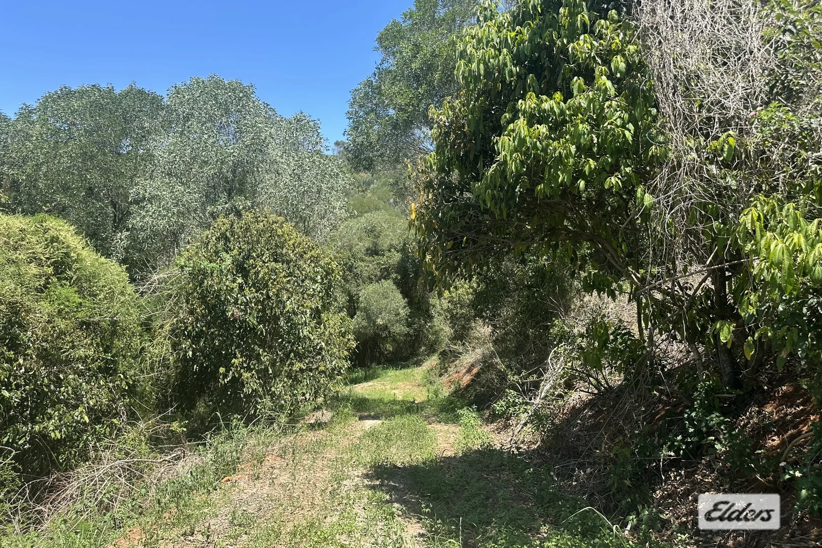 Additional image 22 of 146 Axelsen Drive, Villeneuve QLD 4514