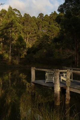 Additional image 11 of 40 Craig View, Shadforth WA 6333