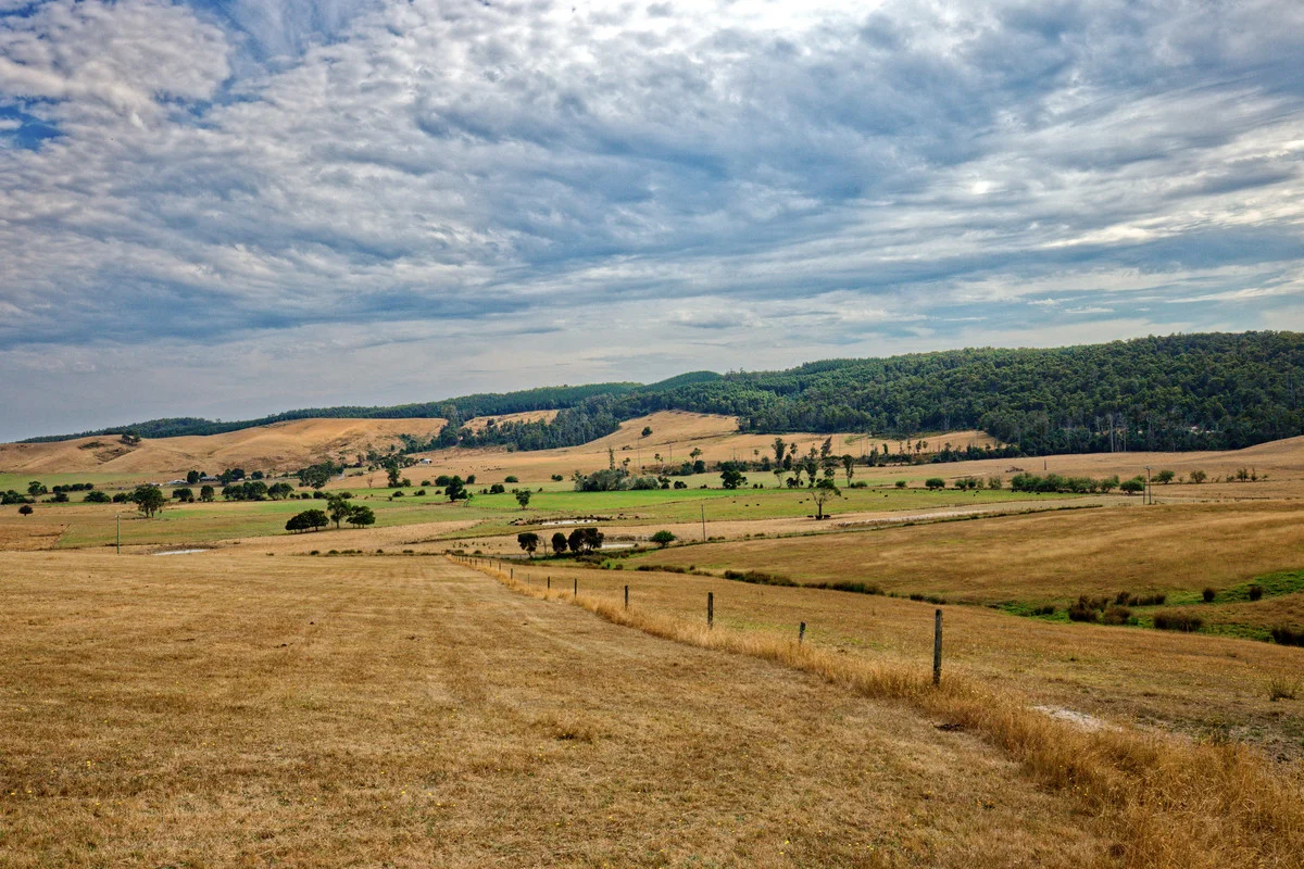 Additional image 6 of 110a Paling Track, Bangor TAS 7267