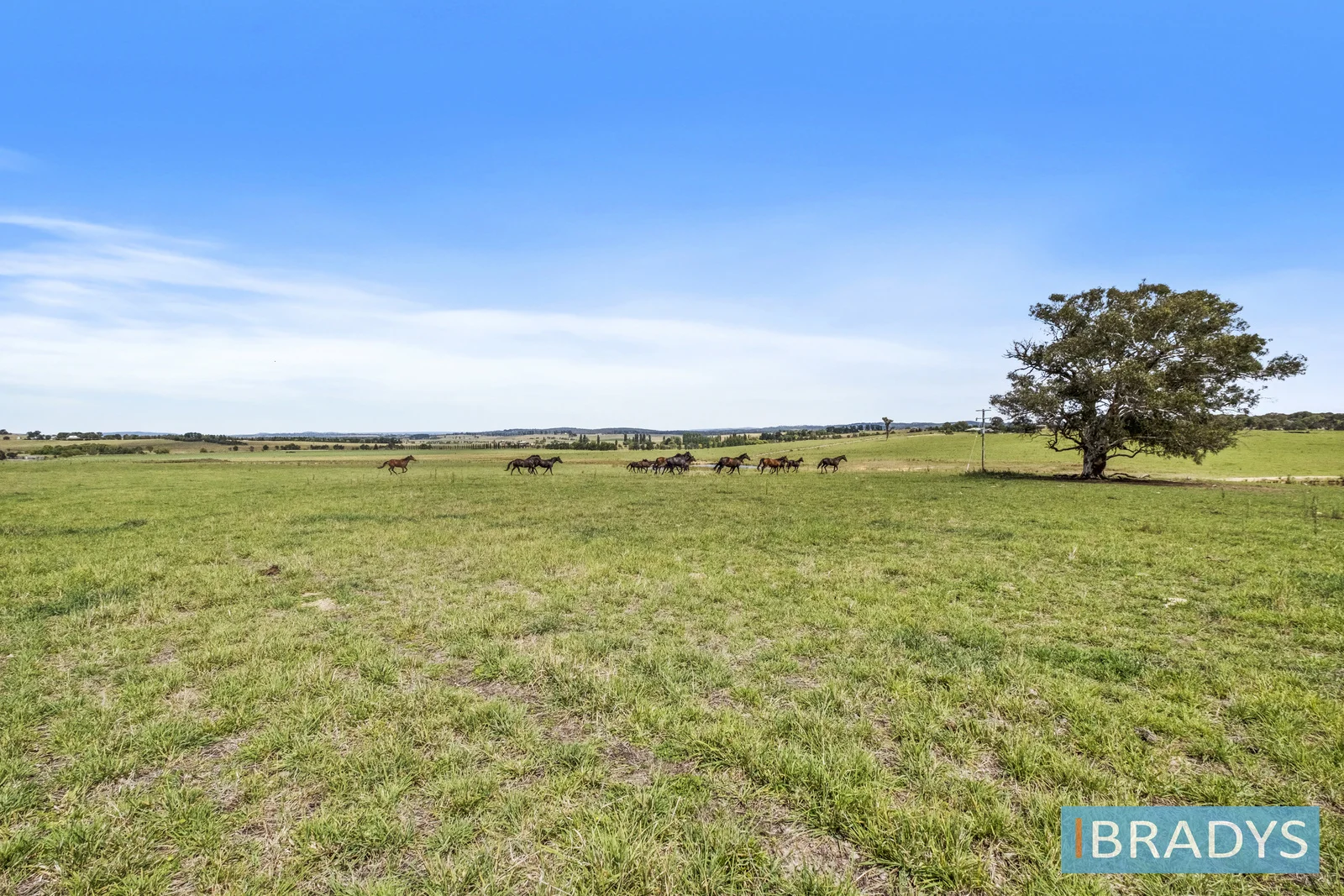 Additional image 15 of 4348 Gundaroo Road, Gundaroo NSW 2620
