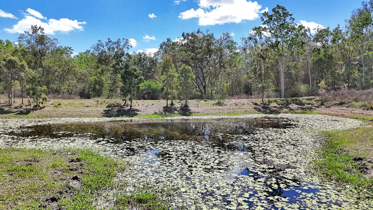 Additional image 27 of 37 Oakenden Sarina Road, Oakenden QLD 4741
