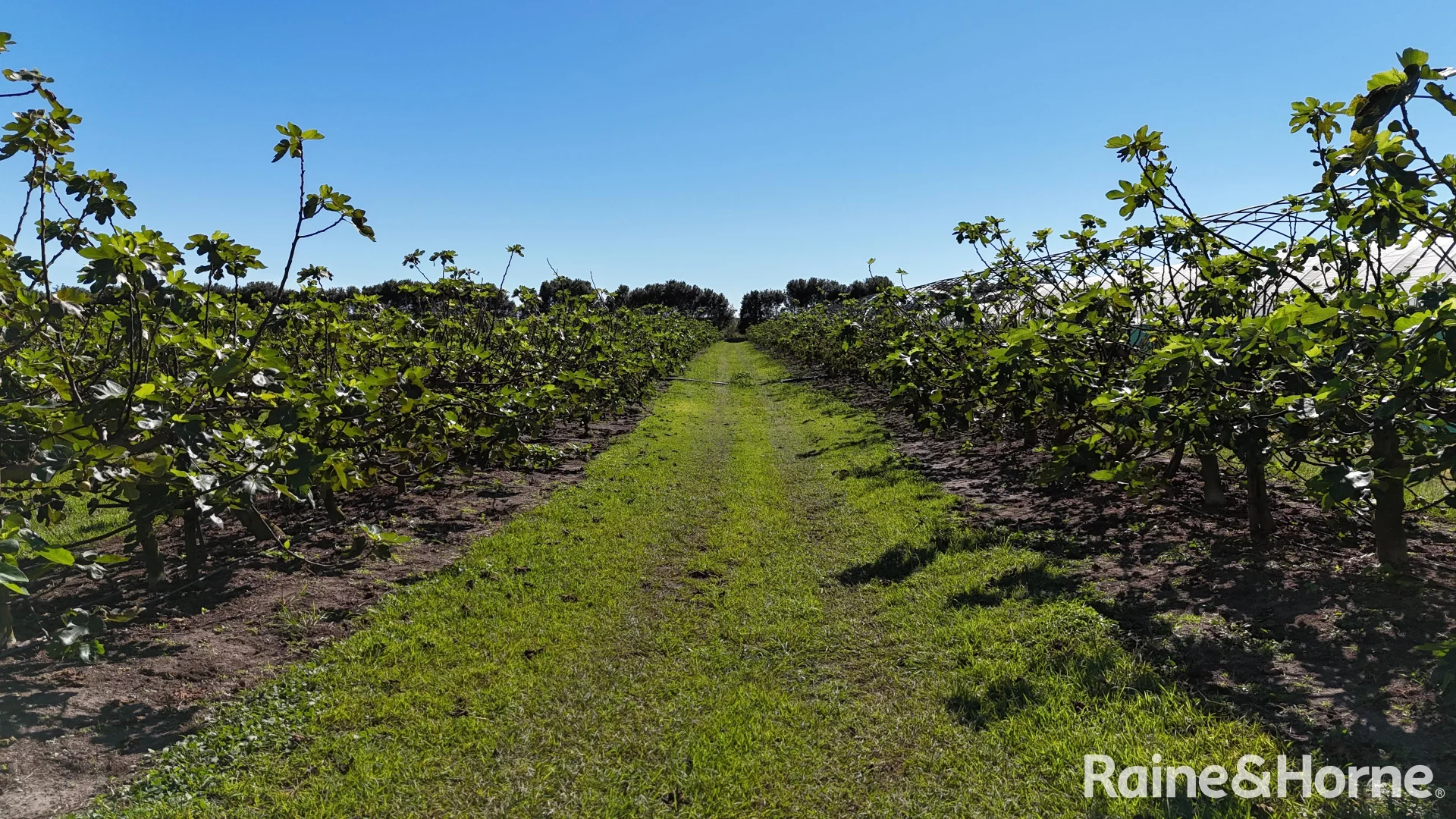 Additional image 5 of 135 Newlands Road, North Gregory QLD 4660