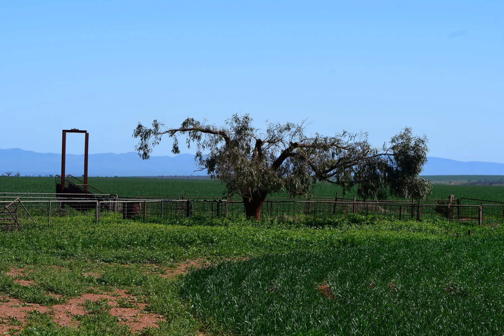 Additional image 8 of SECTION 121 Orroroo Road, Willowie SA 5431