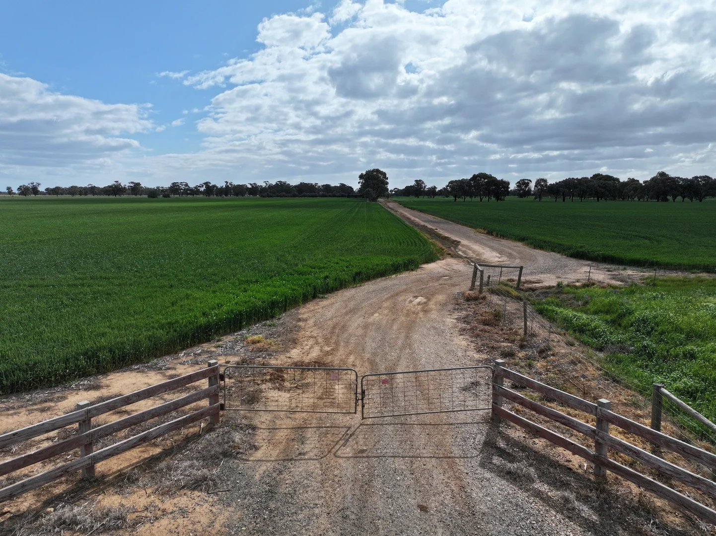 Additional image 6 of 556 Lowe Road, Rochester VIC 3561