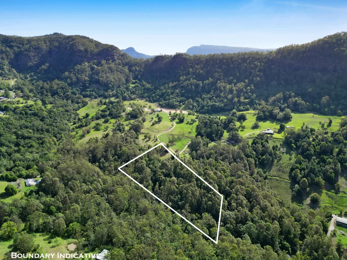 Additional image 13 of 22 Petsch Creek Road, Tallebudgera Valley QLD 4228