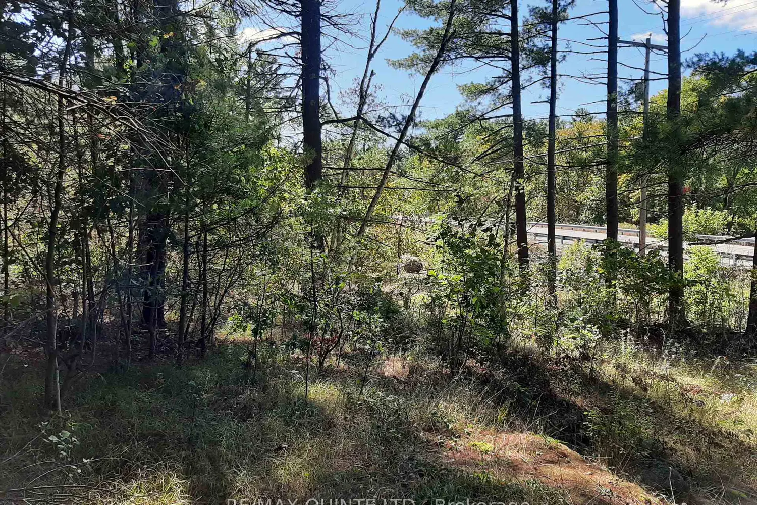 Additional image 14 of 0 Pt Lt12 Con14 Hwy 37 Road