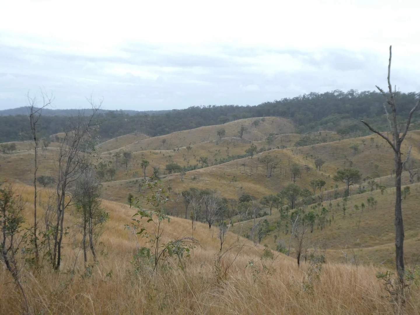 Additional image 8 of 4 Lots/NRN Monto Mount Perry Road, Mungy QLD 4671