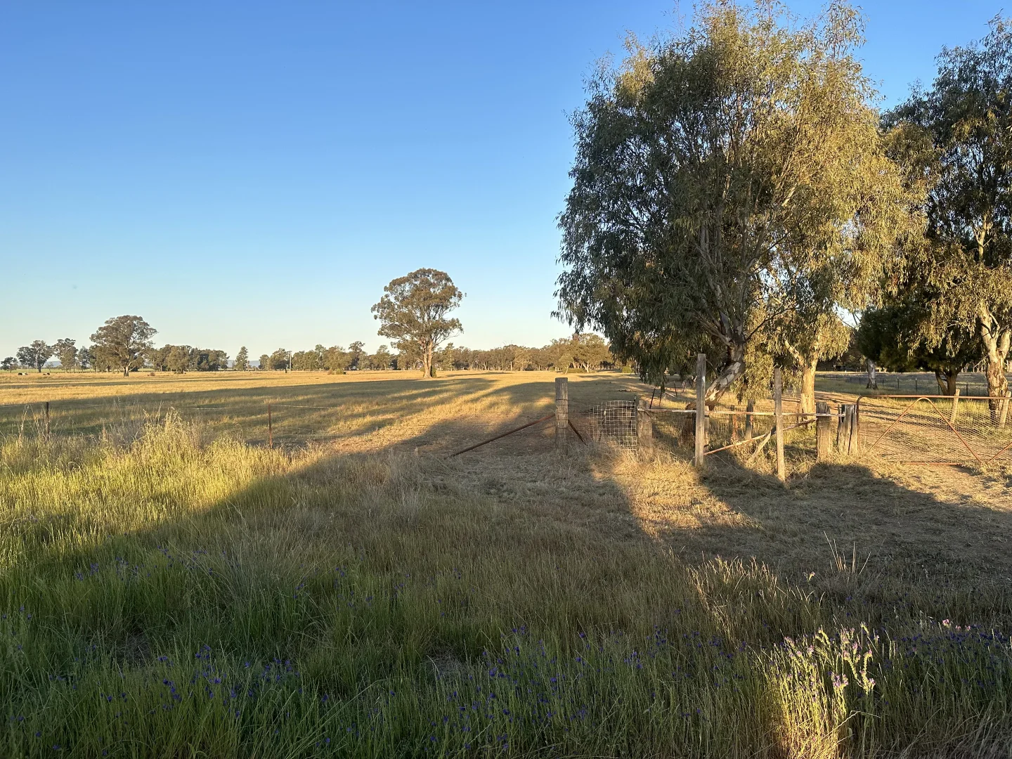 Additional image 9 of Lot 133 Troths Lane, Quandialla NSW 2721