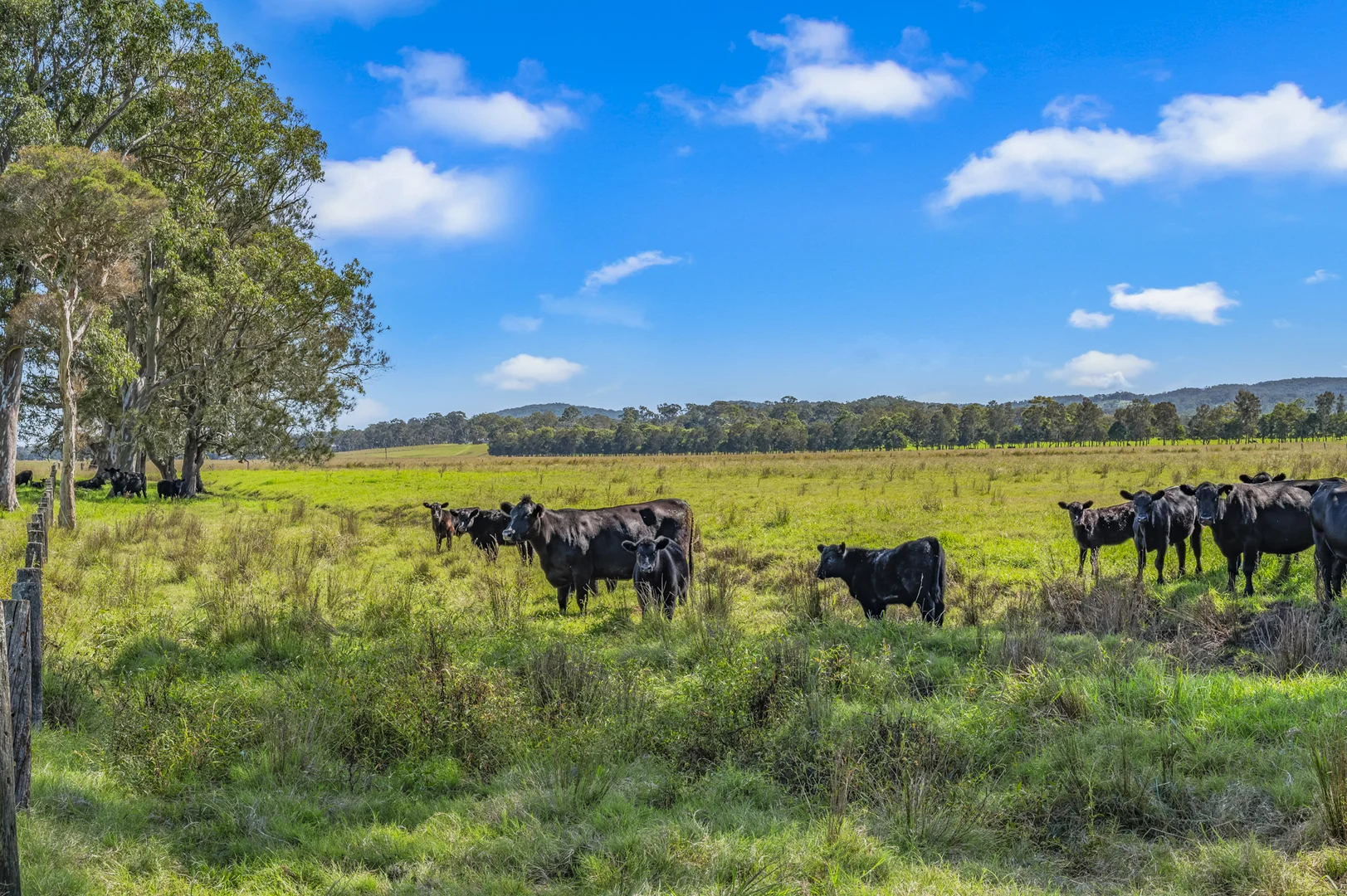 Additional image 8 of Brandon View |1102 Seaham Road, Seaham NSW 2324