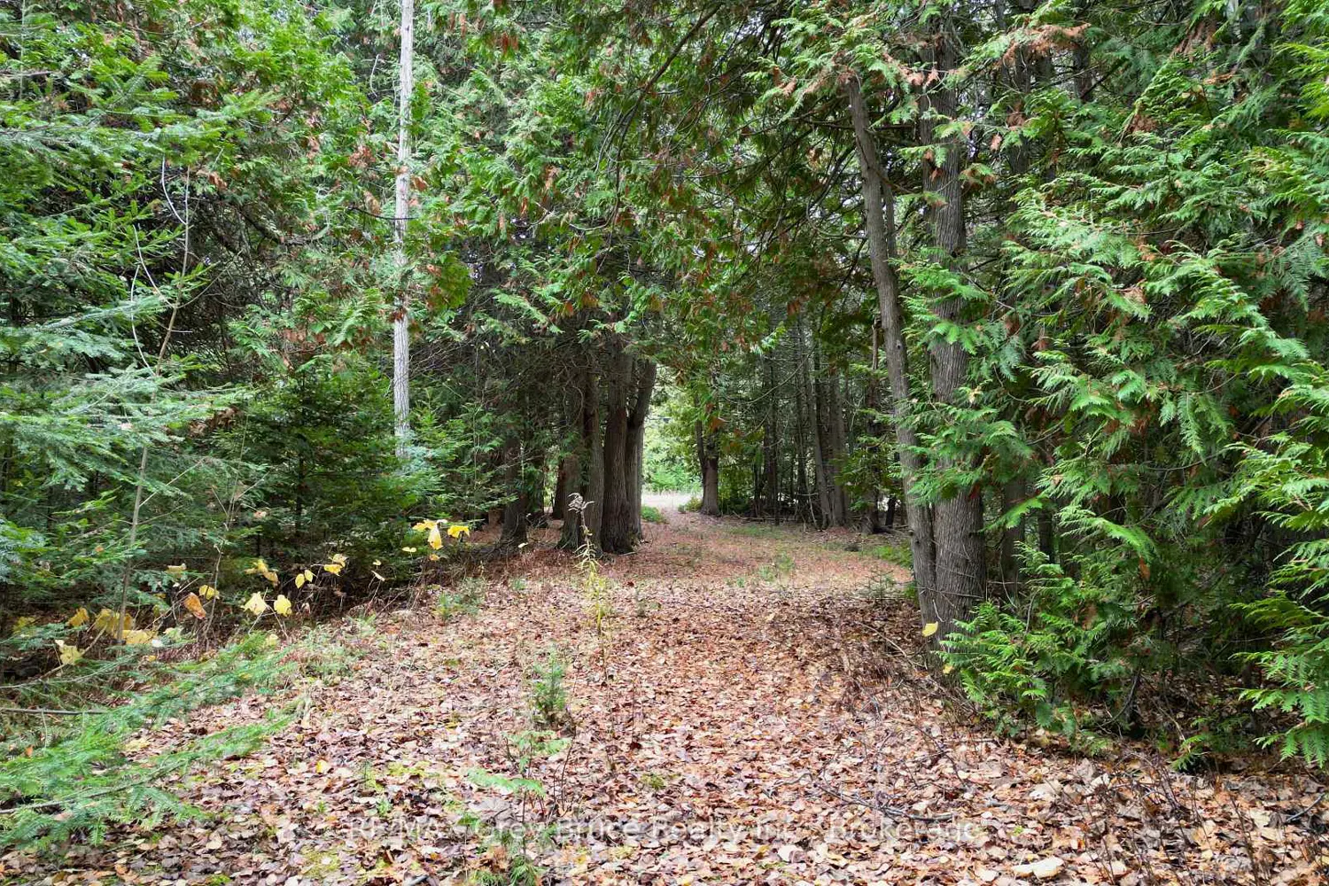 Additional image 15 of 44 Stokes Bay Road