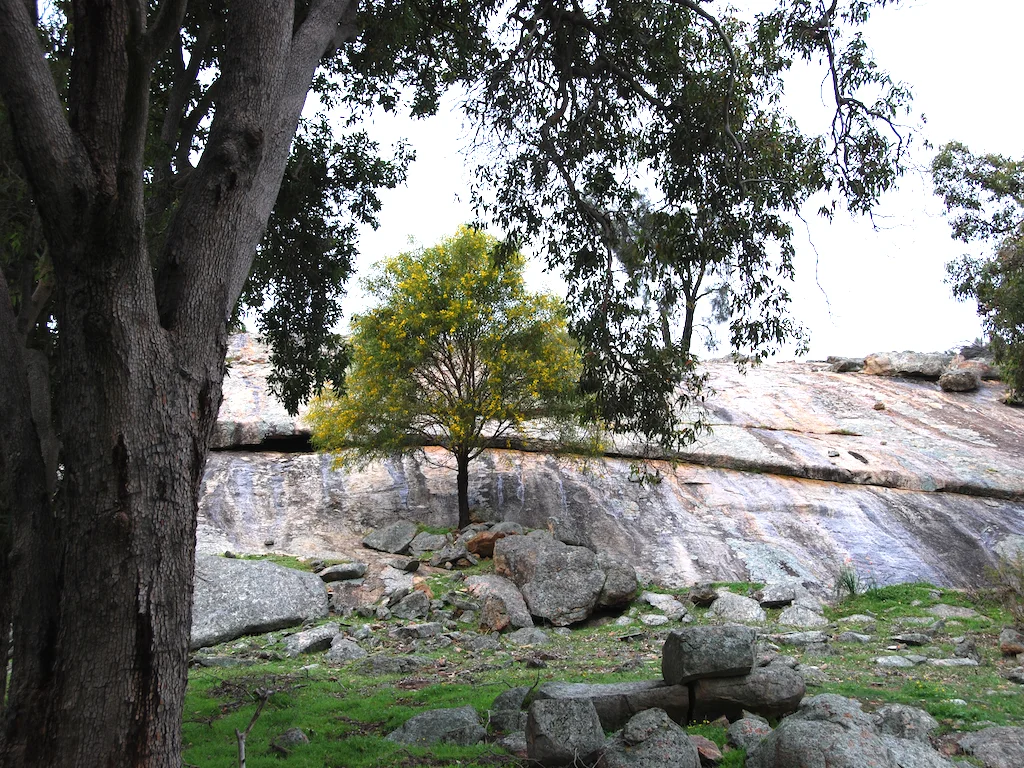 Additional image 31 of Lot 12 Young Road, Gwambygine WA 6302