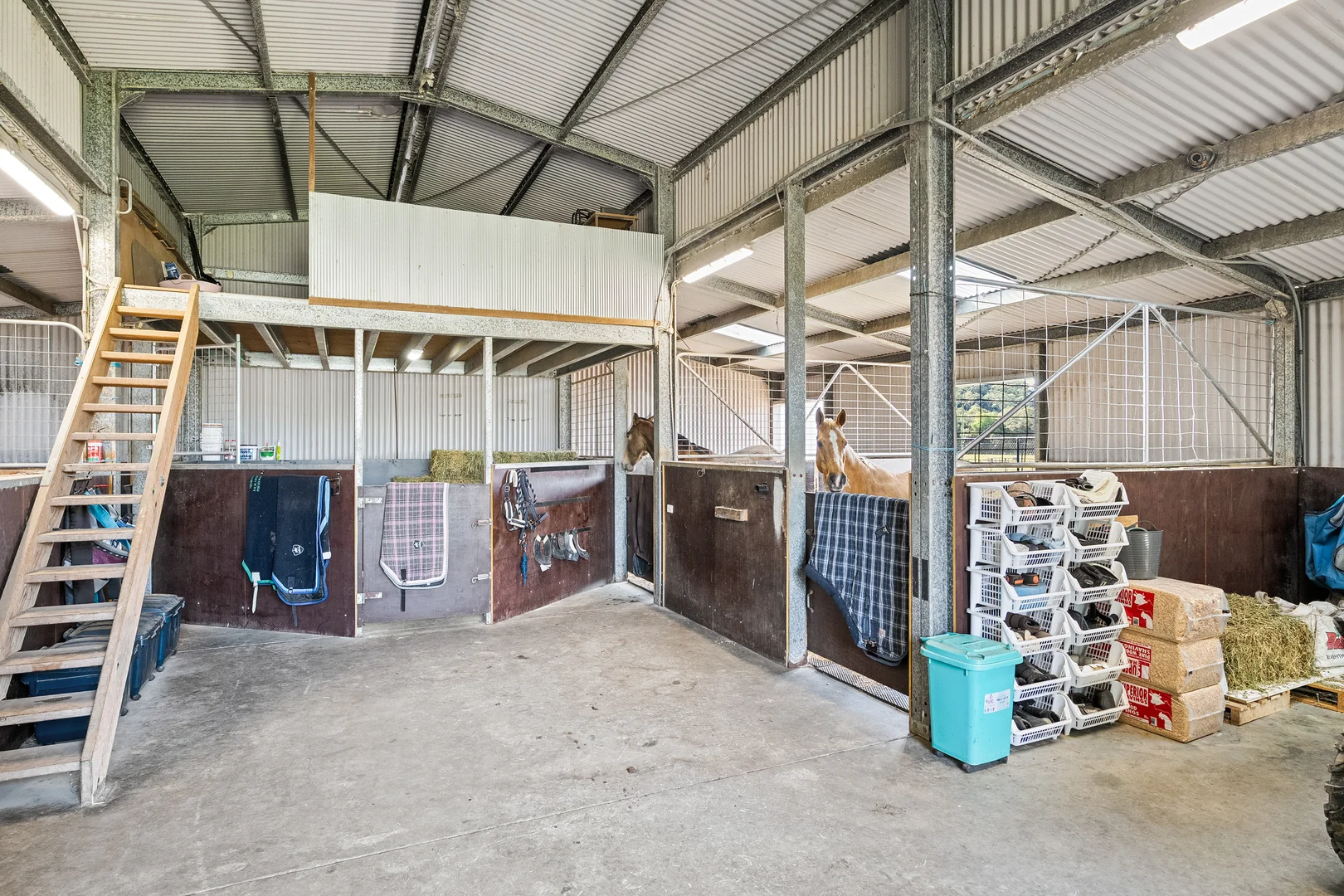 Additional image 33 of 413 Yarramalong Road, Wyong Creek NSW 2259