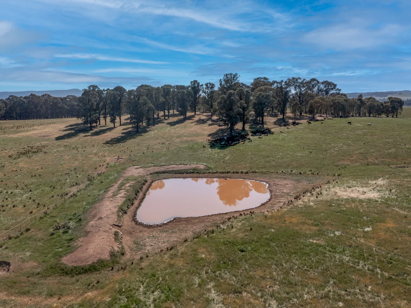 Additional image 5 of Eleven Mile Creek Road, Glenrowan West VIC 3675