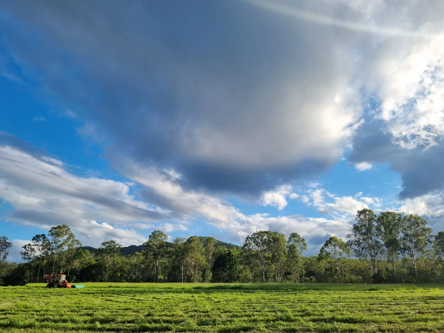 700 John Clifford Way, Lowmead QLD 4676