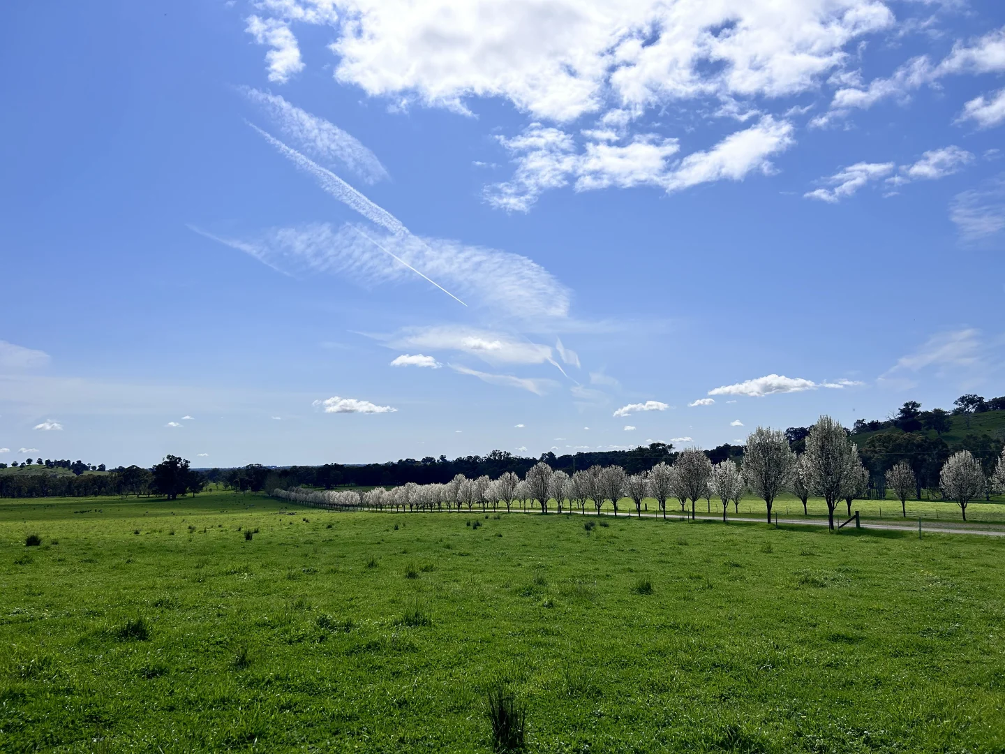 Additional image 14 of 252 Welshs Road, Baddaginnie VIC 3670