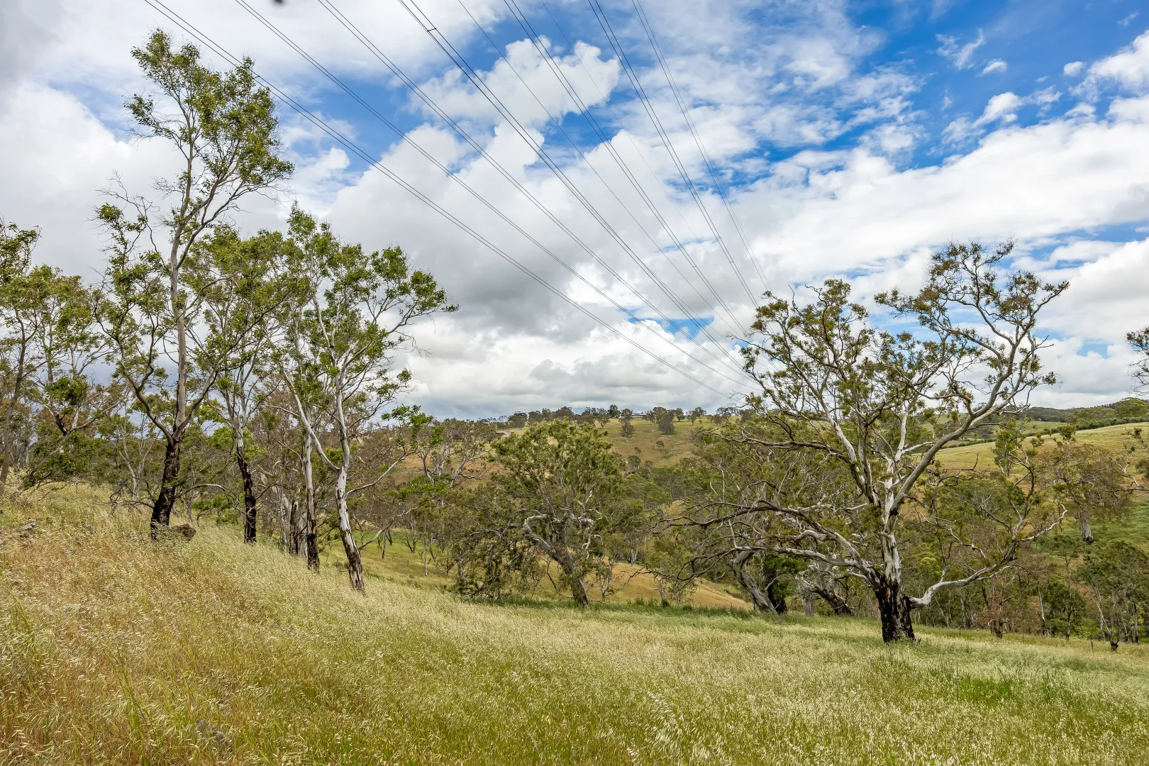 Additional image 32 of 83 Spring Lane, Mount Barker Springs SA 5251