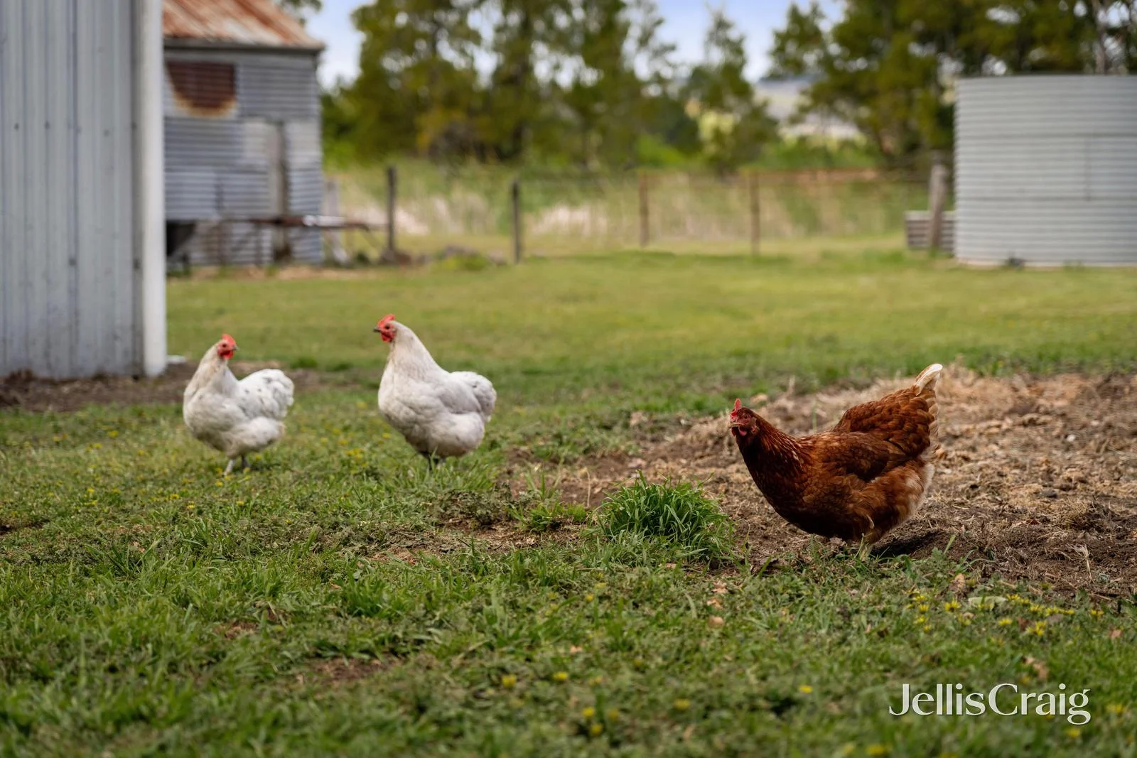 Additional image 18 of 860 Buninyong Mt Mercer Road, Garibaldi VIC 3352