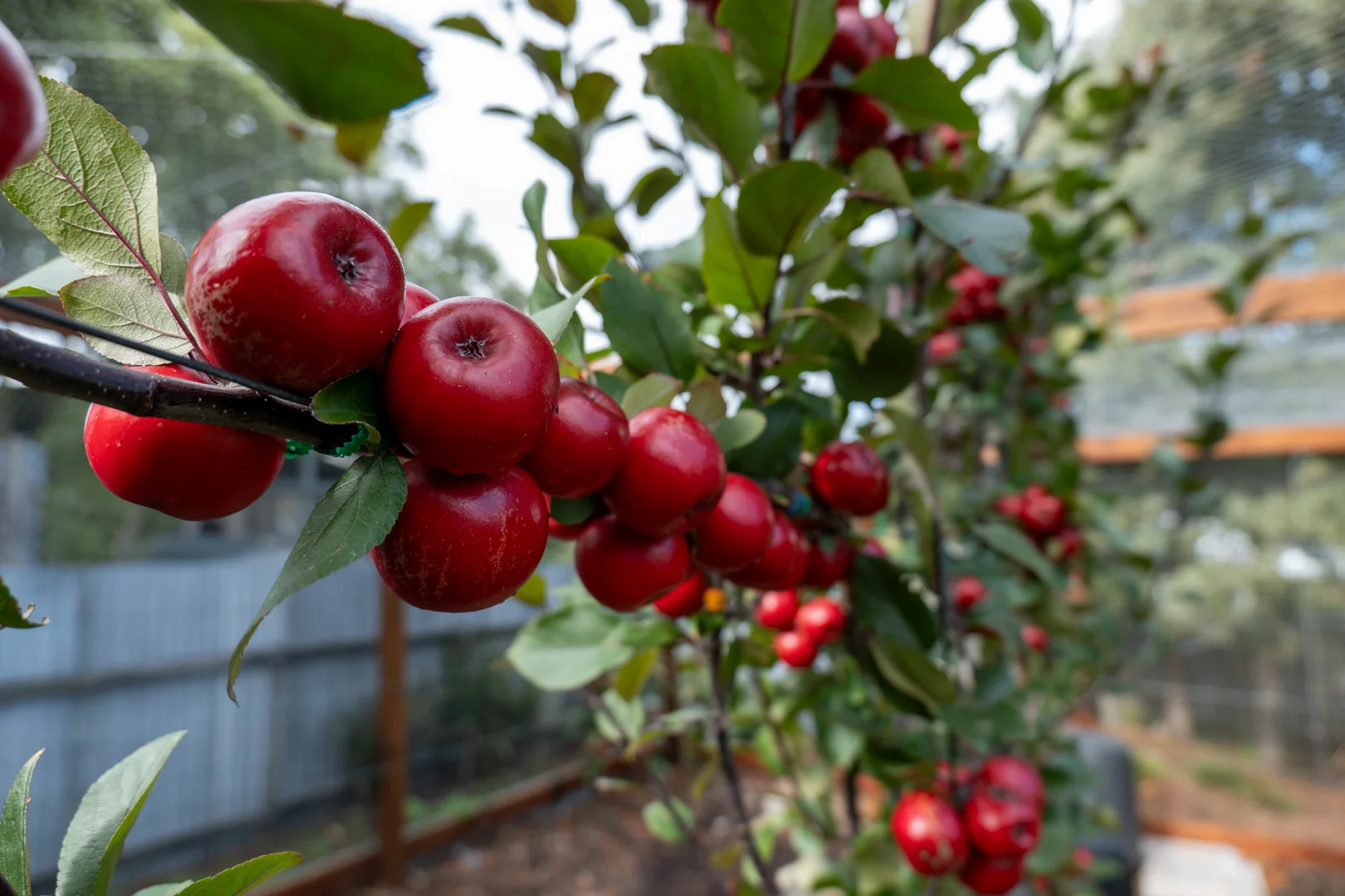 Additional image 22 of 15 Coolangatta Road, Adventure Bay TAS 7150