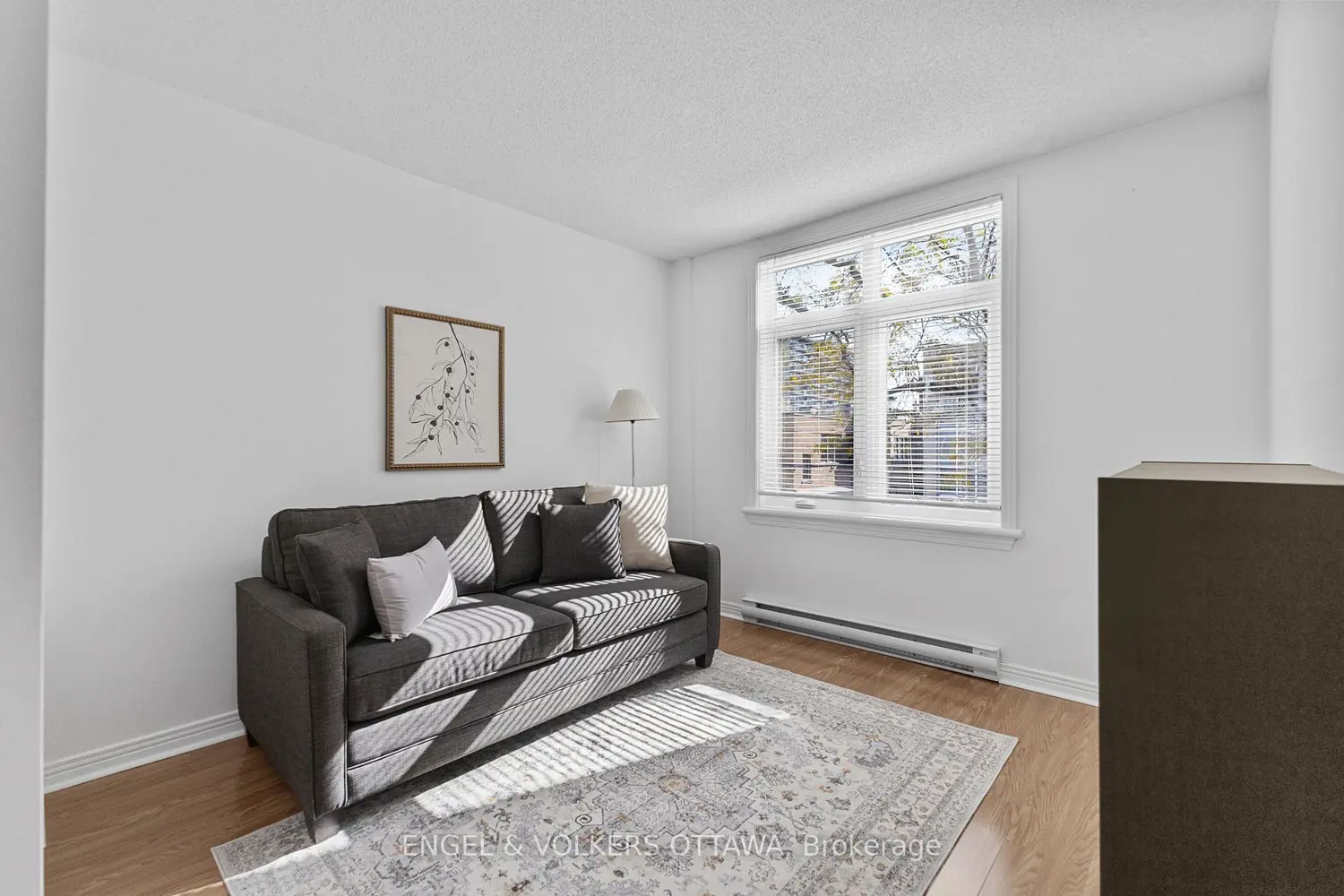 Additional image 12 of 205 Somerset Street 206