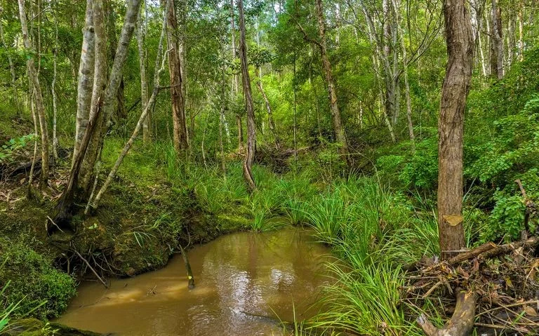 Additional image 10 of Lot L984 Arborfourteen Road, Glenwood QLD 4570