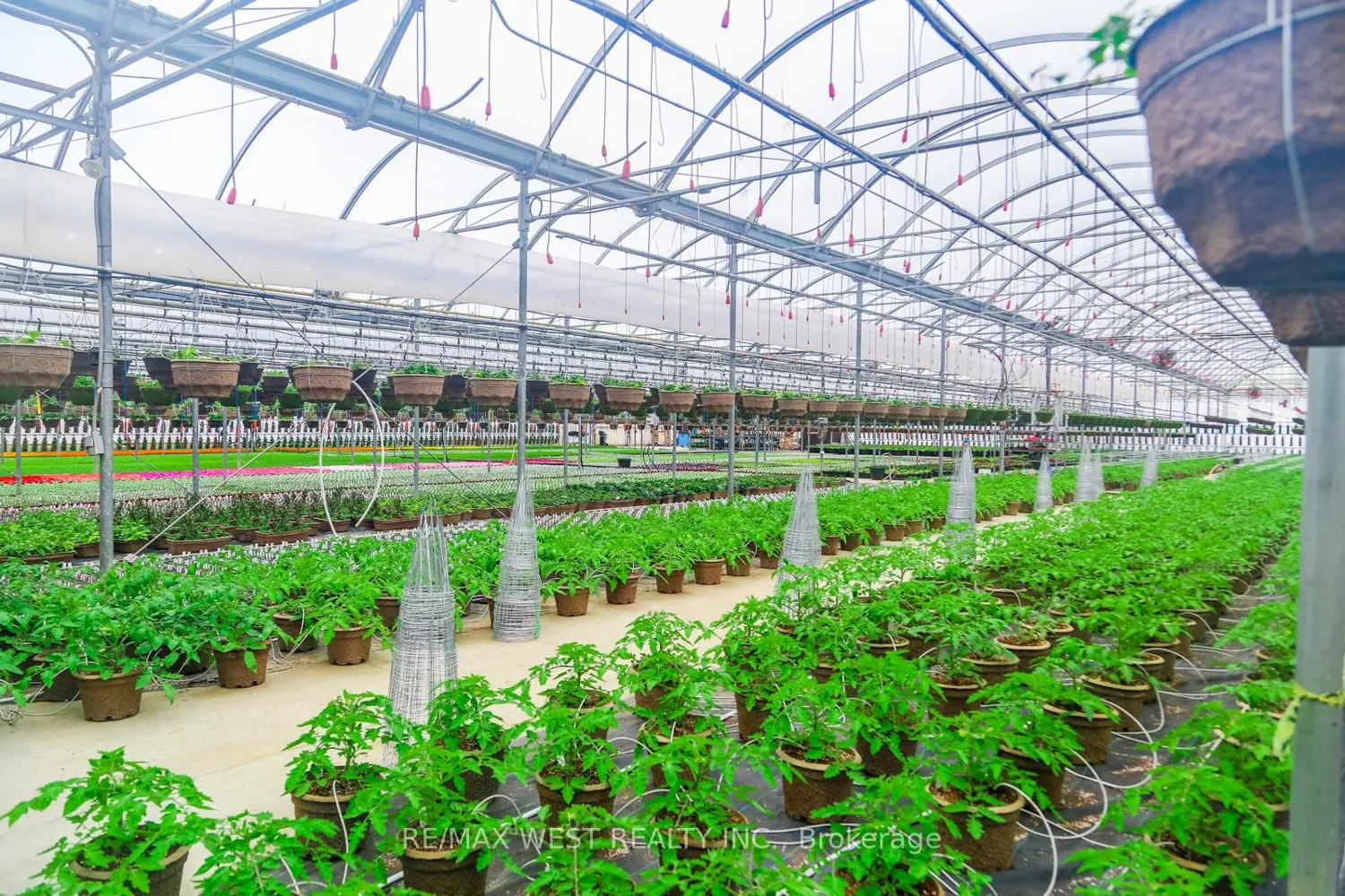 Additional image 15 of 11871 Cold Creek Road