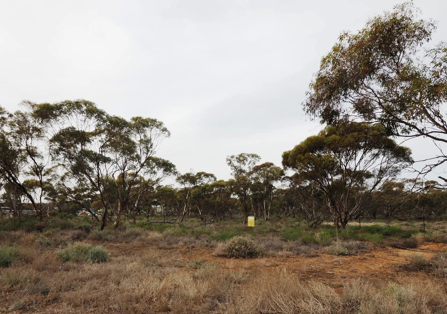 Additional image 8 of Lots 1-6, Towns Street, Chillingollah VIC 3585