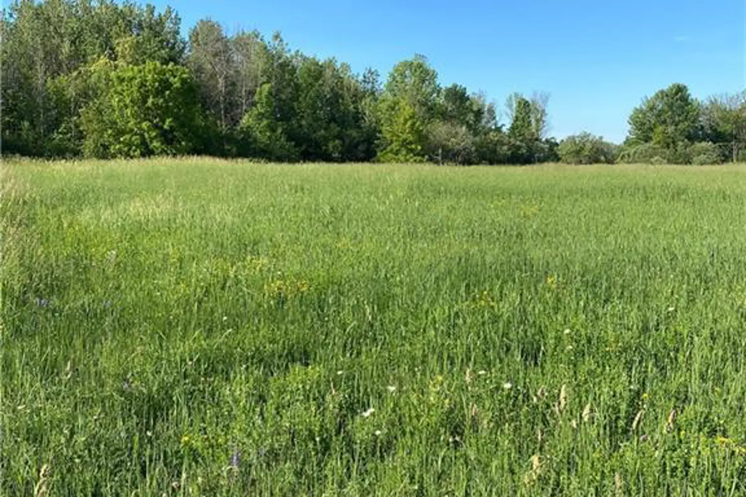 Additional image 8 of L12c1p1 Union Road