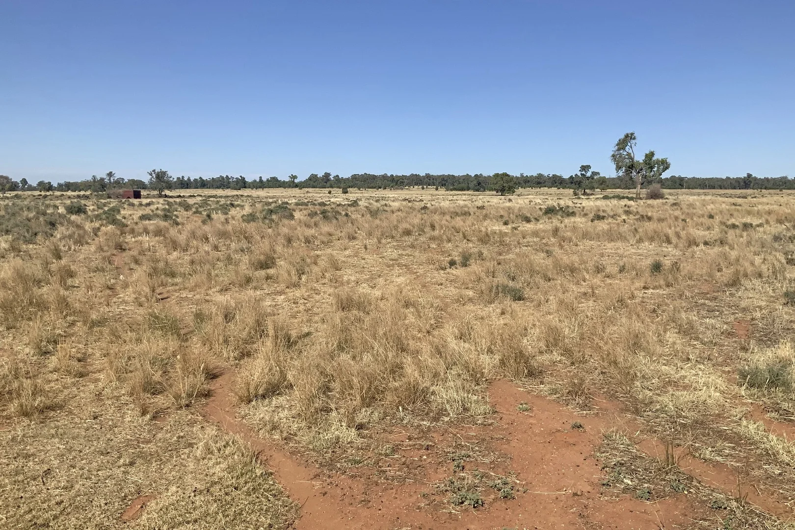 Additional image 13 of 703 Yethera Road, Tullamore NSW 2874