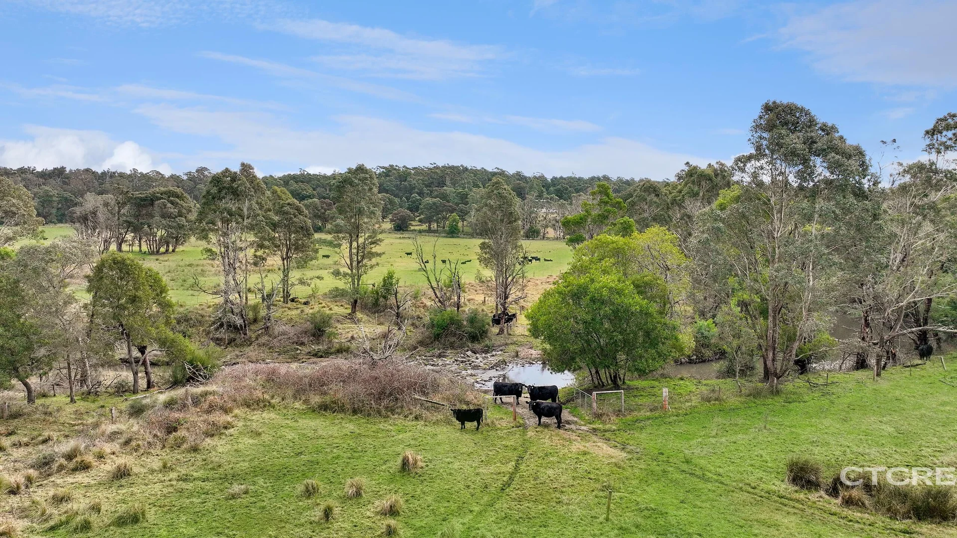 Additional image 7 of 1664 Wangarabell Road, Wangarabell VIC 3891
