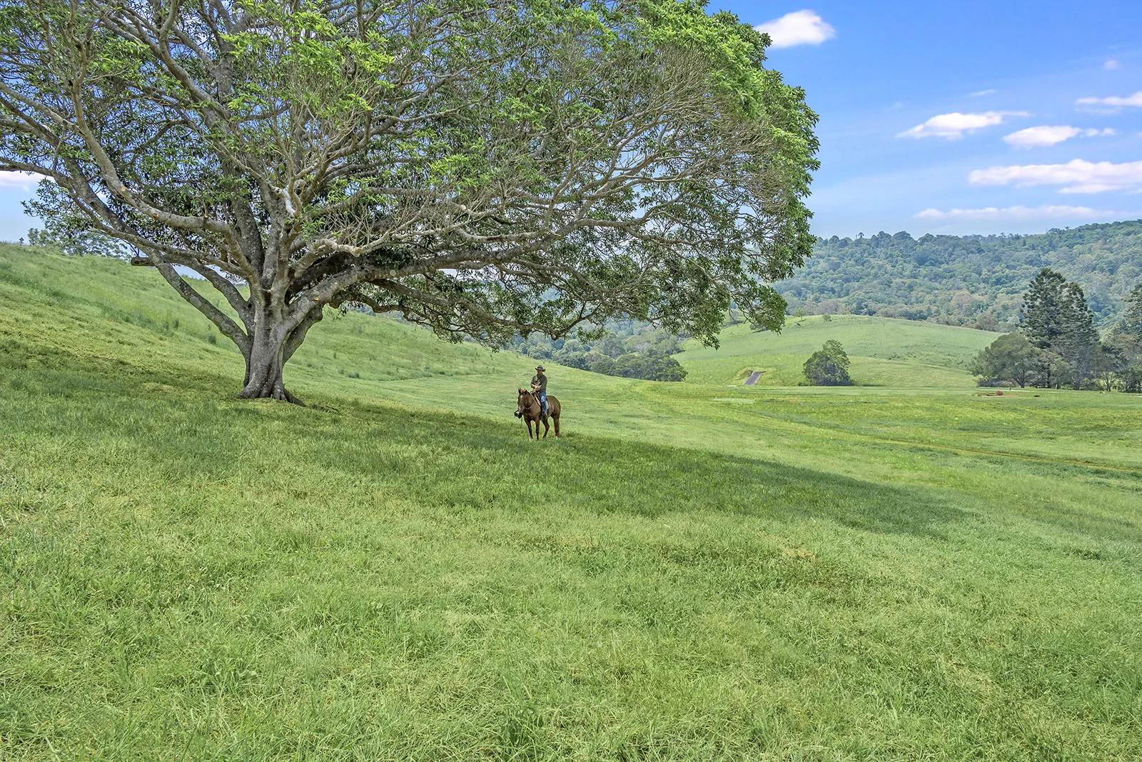 Additional image 14 of Bond Road, King Scrub QLD 4521