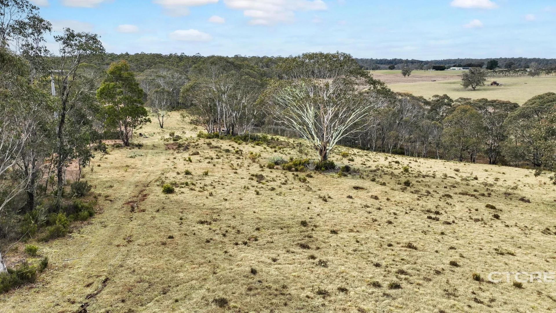 Additional image 11 of 1695 Bendoc-Orbost Road, Bendoc VIC 3888
