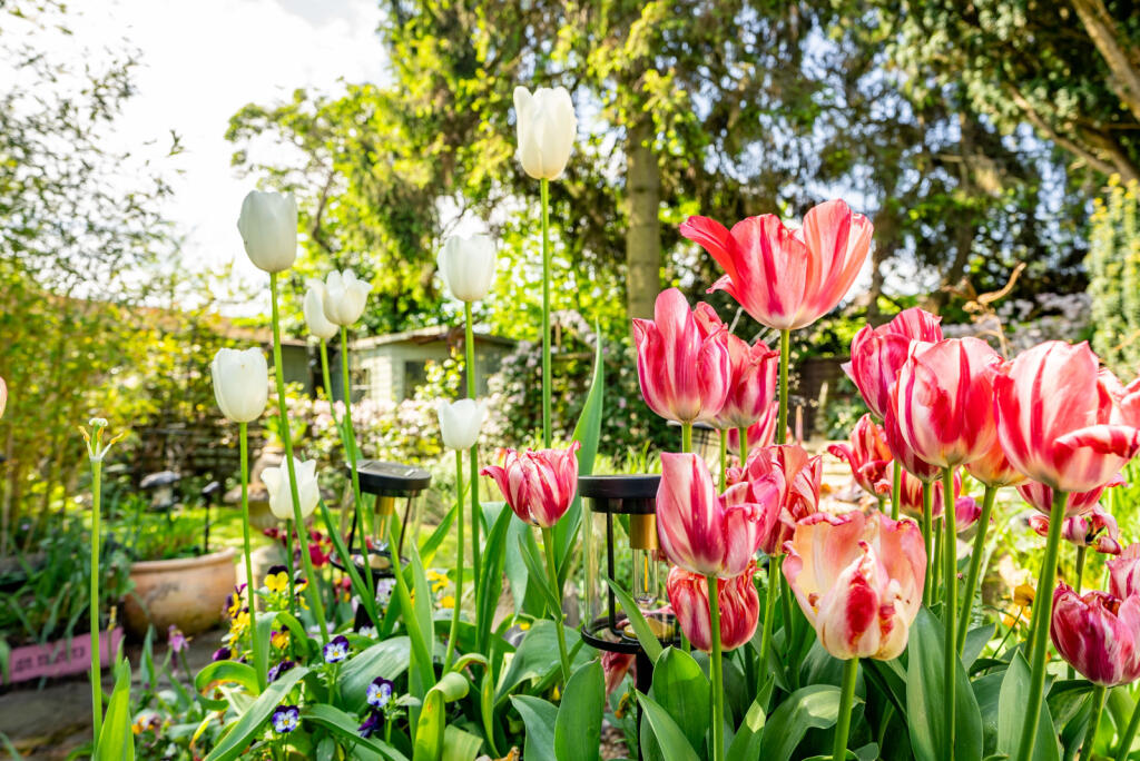 房产图片 25 - Sandpit Lane, 圣奥尔本斯, 哈特福德郡, AL1