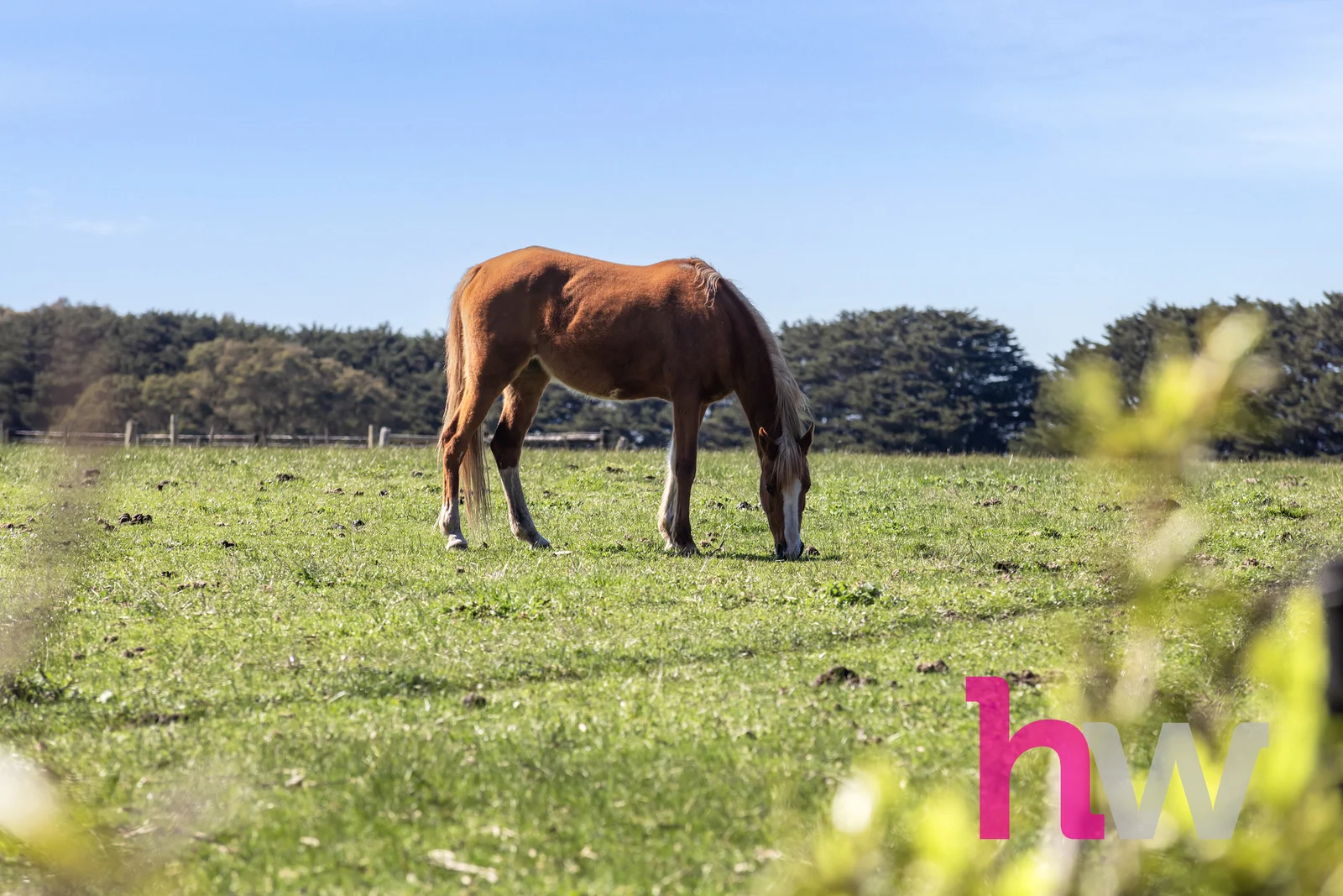 Additional image 17 of 20 Morgans Road, Winchelsea South VIC 3241