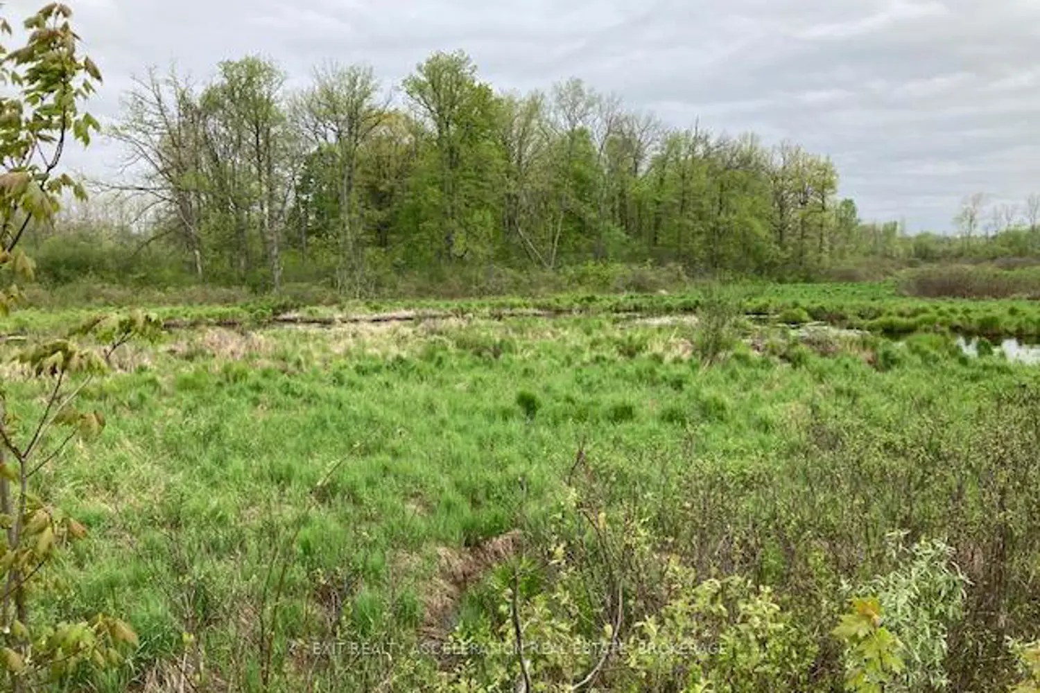 Additional image 20 of 0 9Th Concession Road